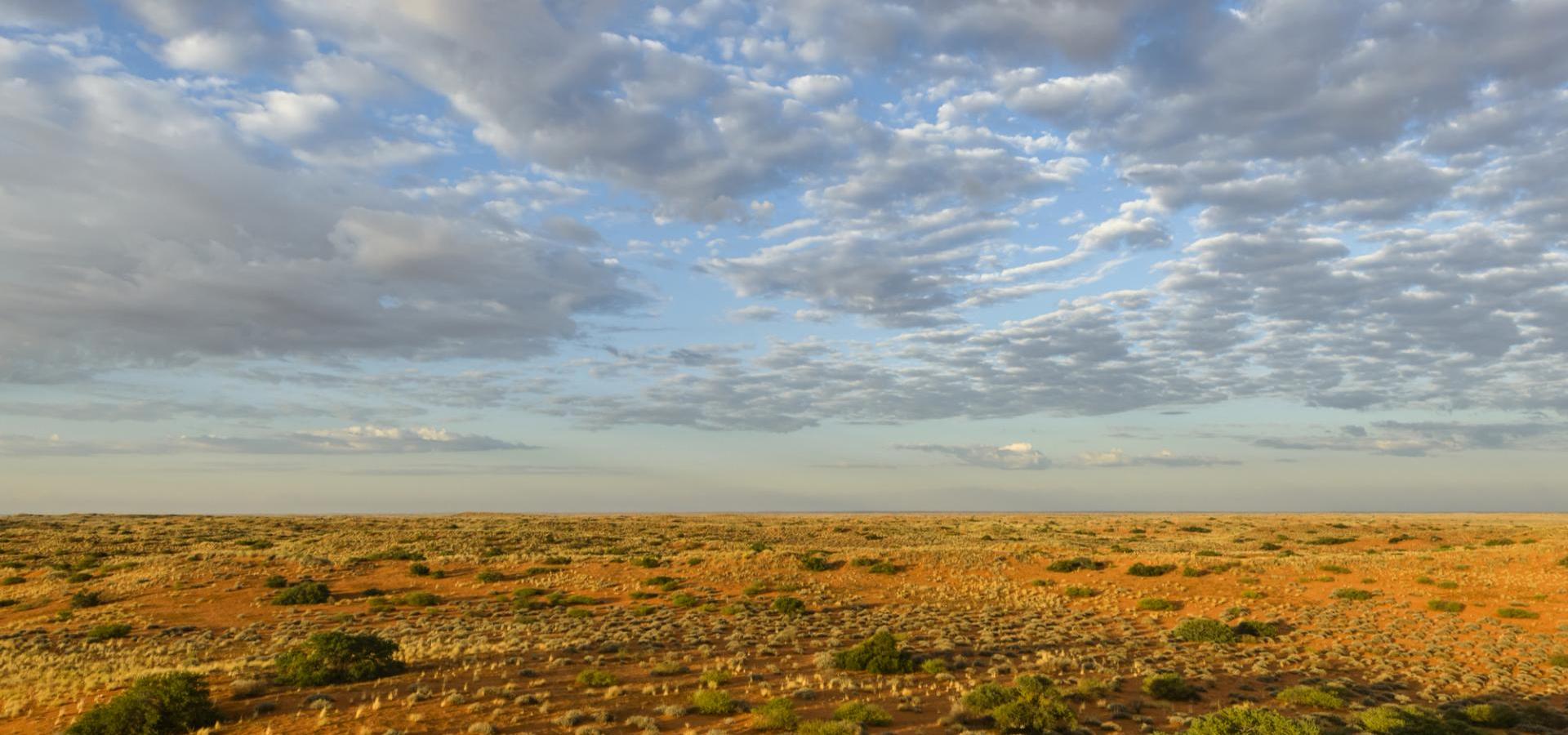 Panorama der Central Kalahari in Botswana