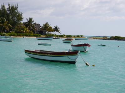 Lassen Sie in Mauritius an türkisblauen palmengesäumten Stränden die Seele baumeln