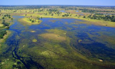 Flug über das Moremi Game Reserve. Panorma Luftaufnahme des Okavango Deltas