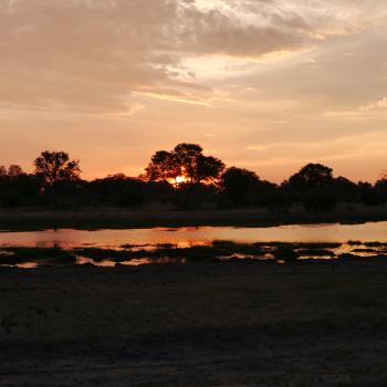 Honeymoon in Zambia und Botswana